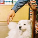 스마트카센타 이미지