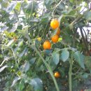 봉선농장 이미지