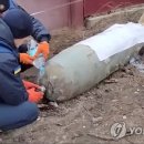 멍텅구리 이미지