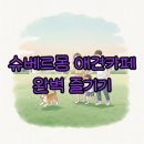 파주 슈베르몽, 4000평 애견카페에서 만나는 행복 후기