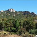 양주토종순대국