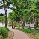 서서울행정사사무소 이미지