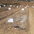 씨돌농장 이미지