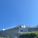 멍스테이 | 여수 애견 펜션 스테이멍 수영장 있는 숙소 내돈내산 솔직후기
