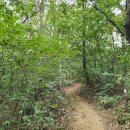 스피드메이트고일점 이미지