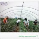 몽산농장 이미지