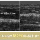 민트성형외과의원 이미지