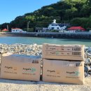 두나펫 코리아 이미지