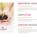 아무러스성형외과의원 이미지