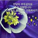 청정숯불 이미지