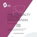 ITQ자격증(오전) 이미지