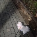 진흥로1 | 은평구 소고기 [달종이네 고깃집] 한우 찐맛집 솔직후기