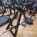 문스타휘트니스 황산점 이미지