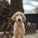 참조은산부인과(복합) 이미지