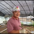 달봉농원 이미지