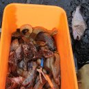 씨알목장 이미지