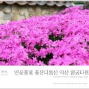 동산다원