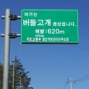 짜리몽 식당 이미지