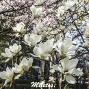 문래근린공원(1) 이미지