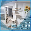 주식회사 엄지 | [내돈내산] 펫인 캣폴 캣타워 대형 (feat. 심플 모던 튼튼한 원목 캣폴 설치후기)