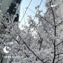 세븐일레븐 하당지구점 | [24-04]