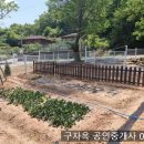 양도면-6 티스토리