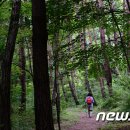 가을... 사색에 잠겨..걸어보자.... 이미지