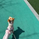 덕곡족발 이미지