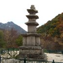 미륵리 불두 이미지