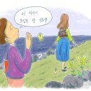 비바리 이미지