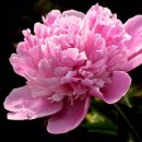 국우석한의원 이미지