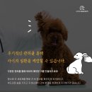 광명 24 아이디동물의료센터 네이버블로그