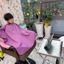 쭈니살롱 이미지