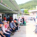 모두두모 이미지