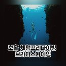 비브라더스 | 보홀 펀다이빙 브라더스다이빙 나팔링 프리다이빙 후기