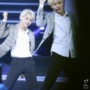 쉘위댄스 이미지