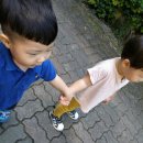 산새체육공원 이미지