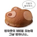 정오세끼(8)
