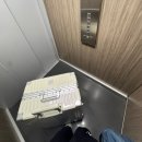 센트럴 호스텔 | 리스본 숙소 추천ㅣ여자 혼자 여행 더 센트럴하우스 리스본 바이샤 호스텔 솔직 후기