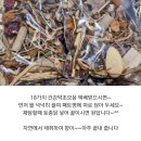 건강 약초 이미지