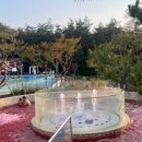 북면199 | 🧖‍♀️실내외 수영과 힐링이 모두 가능한 서울 근교 온천형 여행지 5선