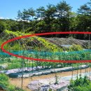 동면마트