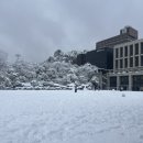 경영관식당 네이버블로그