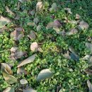 동트는농원 이미지