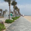 25-26년 겨울 여행 (36) 바이사우 해변 (Back Beach) 이미지