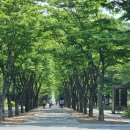 진산농장 이미지