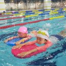 벌키키즈 36.5 수영장 이미지