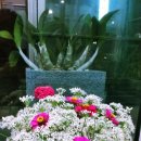 남동족구장 이미지