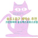 포스코세탁소 | 송도1공구 세탁소 추천, &#39;크린토피아 송도엑스포포스코점&#39; 운동화세탁 잘하는곳.