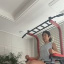 레이즈스포츠 | 멜킨 포스 치닝디핑 3주차 후기｜매일 레그레이즈 챌린지 하게 된 홈트기구